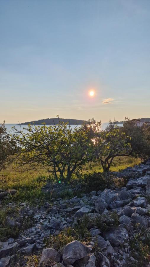 Vila Maneni Rogoznica  Exteriér fotografie